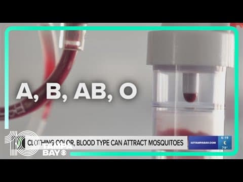 Clothing color, blood type can attract mosquitoes