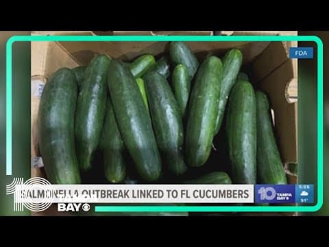 Multi-state salmonella outbreak from cucumbers traced back to 2 Florida farms, CDC says