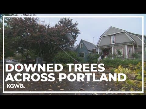 Rain and wind bring down trees and knock out power in Portland