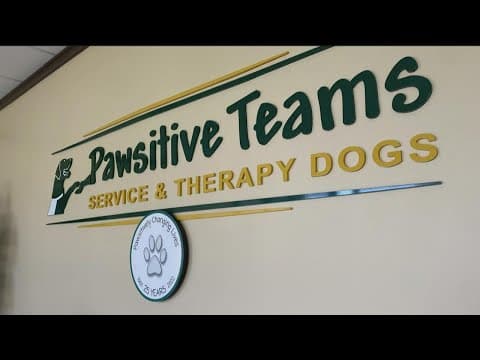 Therapy dogs offer service with a smile... and a little slobber