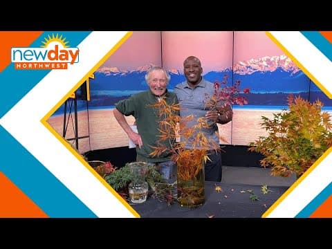 Buy your plants now to add fall colors to your yard - New Day NW