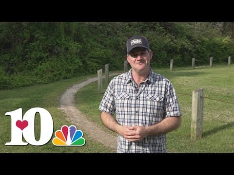 Group working to add around 3 acres of trails in South Knoxville to Urban Wilderness