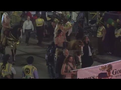 City Council Committee Approves New Order New Order