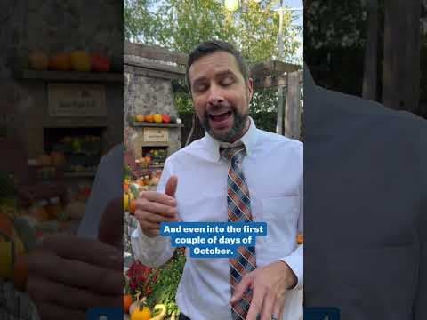 A very summer-like forecast is expected this week in the Twin Cities. Recorded Monday, Sept. 29.