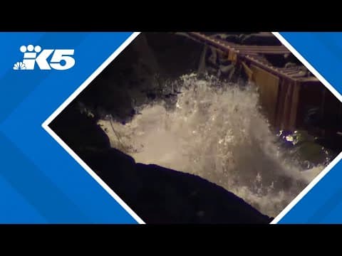 Puyallup Tribe celebrates court decision to uphold ruling ordering partial removal of Electron Dam