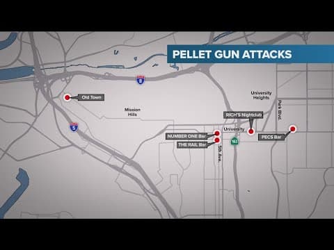 Police say pellet gun attacks considered possible hate crimes