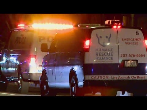 Man in custody after police shooting, hours-long barricade in DC