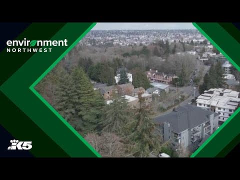 State launches new program recognizing cities for investments in tree canopy