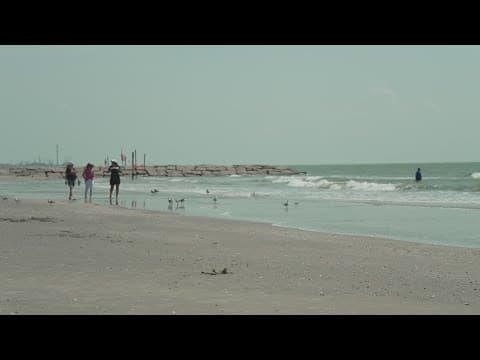 KHOU 11 Investigates: All Houston-area beaches saw high fecal levels this year