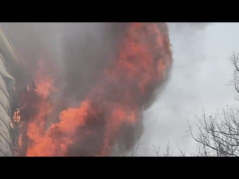 Treme house fire out Thursday morning, two cats killed