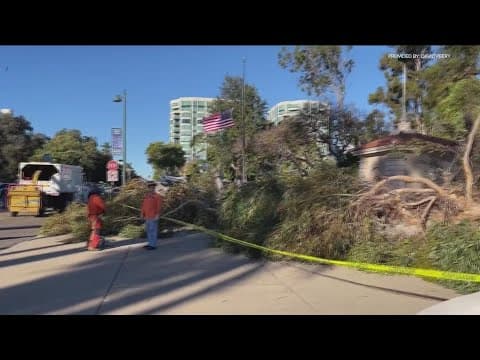 County and city crews begin cleanup after fierce Santa Ana winds