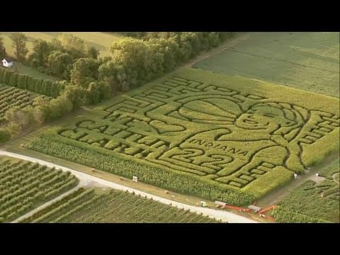 Indiana farm paying tribute to WNBA rookie Caitlin Clark with corn maze