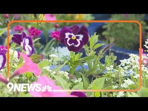 Proctor's Garden: Gardening tasks for early June