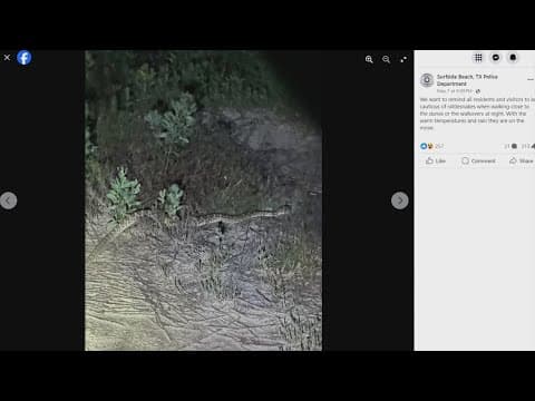 Beware of snakes on the beach! Rattlers like the dunes