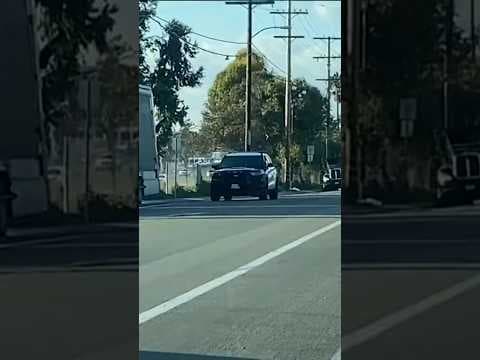 National City businesses hurting over alleged rise in sex workers #sandiego #nationalcity