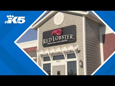 New CEO weighs in on Red Lobster's bankruptcy