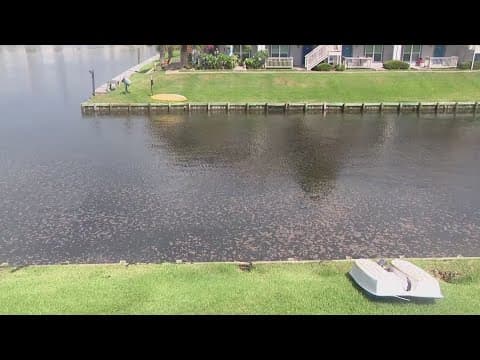 'Yucky looking stuff' | 2,500 gallons of sewage overflow into adjacent canal on Galveston Island.