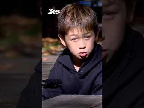 Kirkland police looking for driver who ran over boy's foot in crosswalk