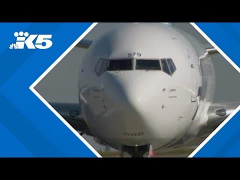 Pilots could receive paid time off for mental health care under proposal