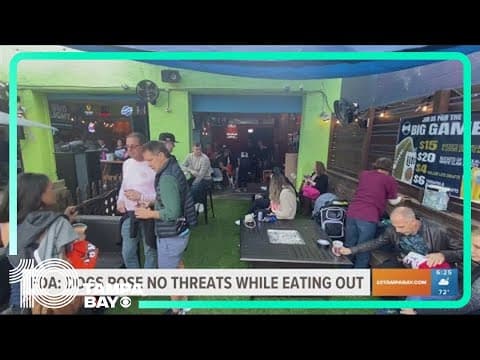 FDA: Eating out with dogs isn't a major health risk