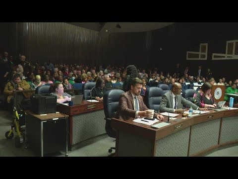 Indianapolis City-County Council hears public input on controversial north side project