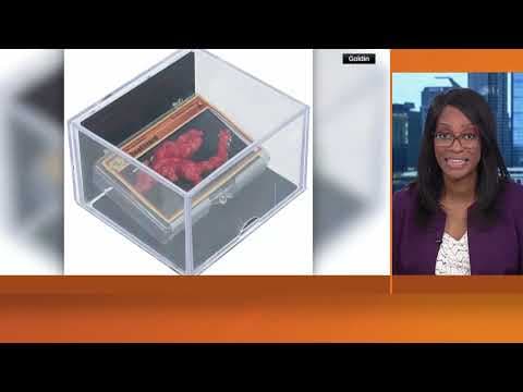 Pokémon-shaped Cheeto, 'Cheetozard,' sells at auction for $87,840