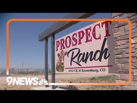 Greeley Businesses rally for families after dairy farm deaths