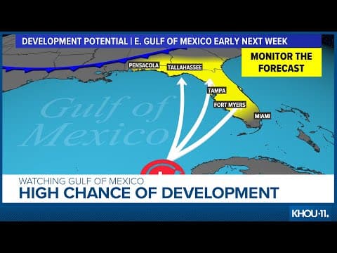 Tropical update: Will we soon have Idalia in the Gulf of Mexico?