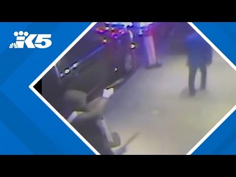 Bullets used in United Healthcare CEO killing had messages on them