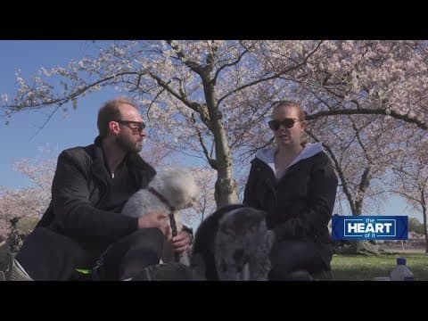 Bloom with the blooms: Heart of It