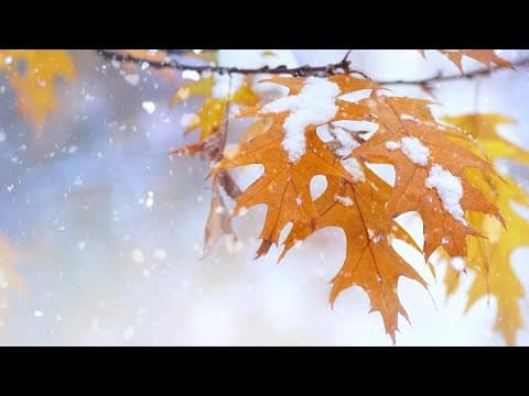 Is the Farmer's Almanac accurate?