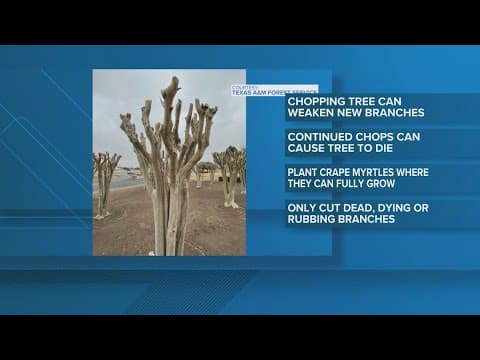 Are you committing 'crape murder?'