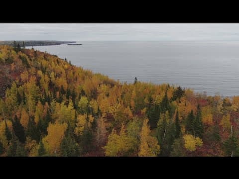 WeatherMinds: Thousands of raptors counted each fall at Hawk Ridge