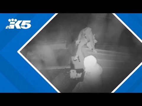 Blake Snell's Washington home was broken into while he away for Opening Day