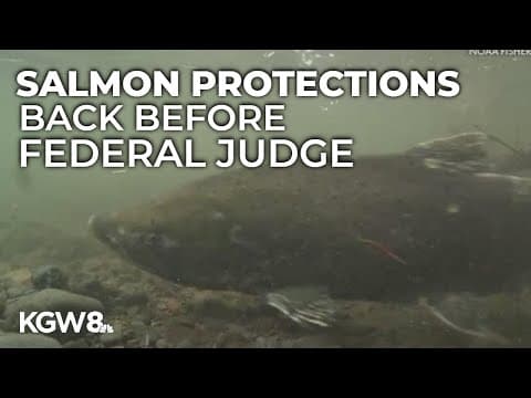 Oregon salmon protections head back to federal court after Trump reversal