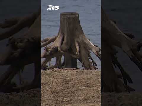 Neighbors near Lake Kachess fed up with visitors' trash
