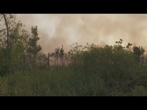 Wildfires burn more than 60,000 acres of land across the state