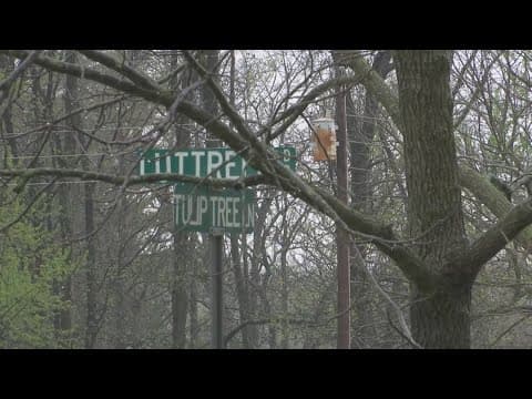 Sullivan man shot, killed after reportedly pointing gun at deputies