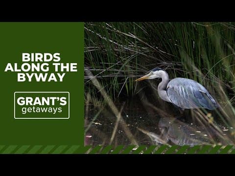 Waterfalls and wildlife await at this Oregon backroad byway