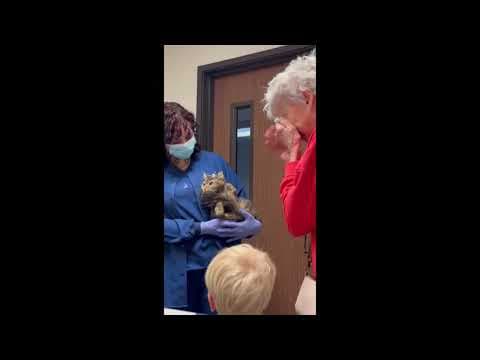 Woman reunited with cat presumed lost in LA wildfires