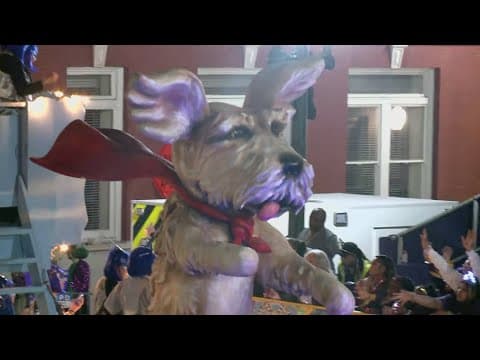 Krewe of Muses Parade Coverage | The Scrimster a dog-gone hero!