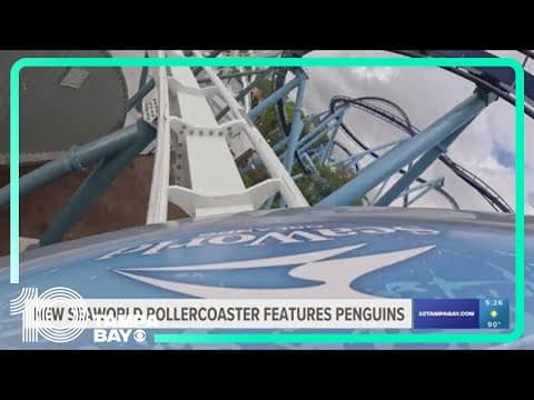 New Seaworld rollercoaster features penguins