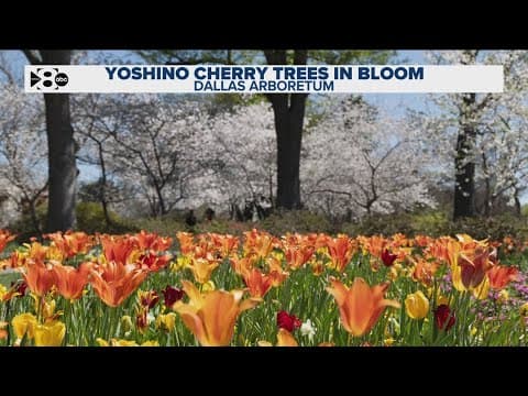 DFW Weather: We'll get an early dose of the 90s today