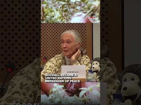 Jane Goodall Dies at 91 | Legacy Remembered