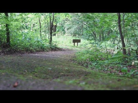 Ijams trail gets $50K in TN grant to improve accessibility