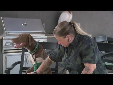 Pup searching for forever home after being rescued with two broken legs on the side of the road