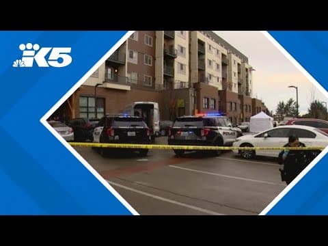 Neighbors say deadly stabbing in Tukwila residential parking lot is 'not surprising'