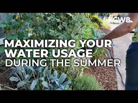 Water smart: When and how to hydrate your garden during the hottest days