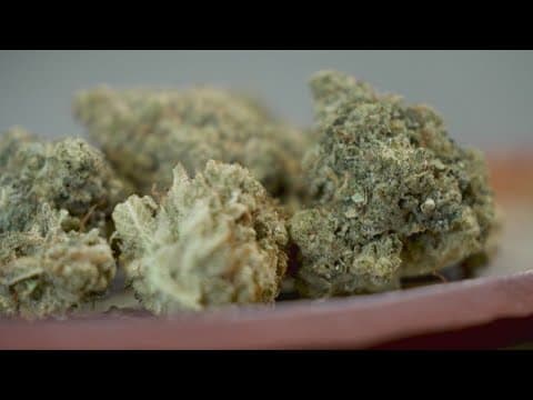 Gov. Greg Abbott has one day to veto bill banning THC