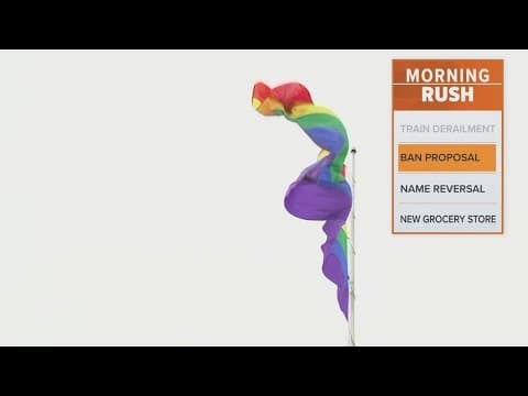 Southern Baptists call for reversal of same-sex marriage ruling